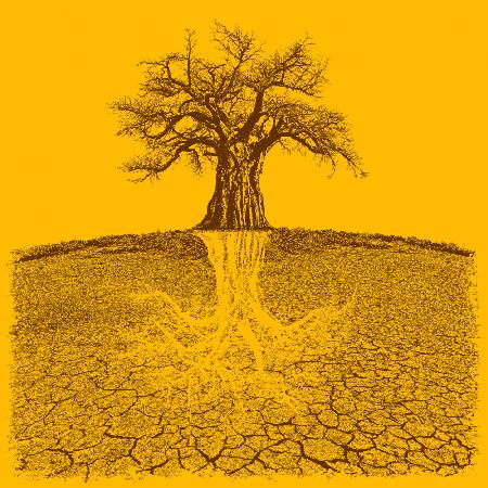 Baobab Mythical Roots Deeper Yellow (h)