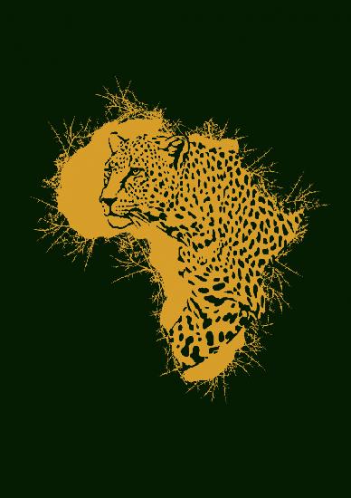 Leopard Dorniges Afrika