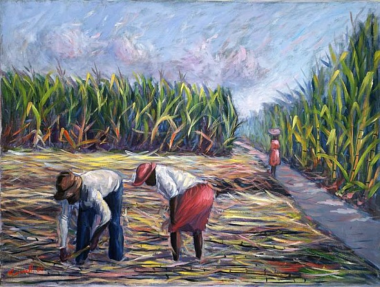 Sugarcane Harvest von  Carlton  Murrell