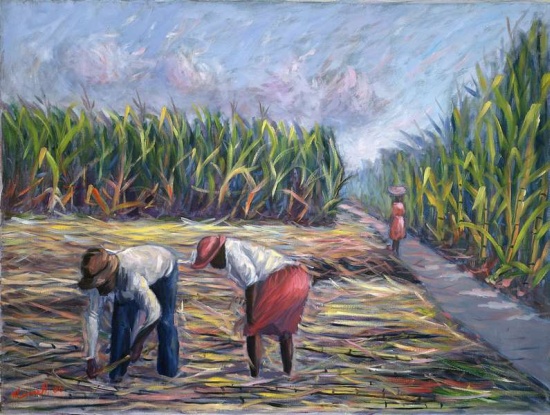 Sugarcane Harvest von  Carlton  Murrell
