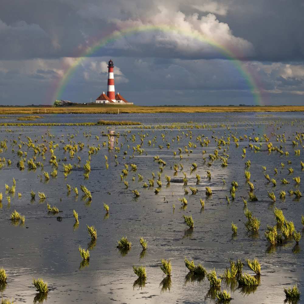 Lighthouse meets Rainbow von Carsten Meyerdierks