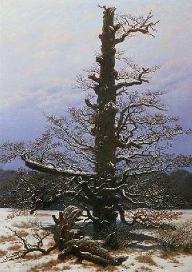 Eichbaum im Schnee 1829