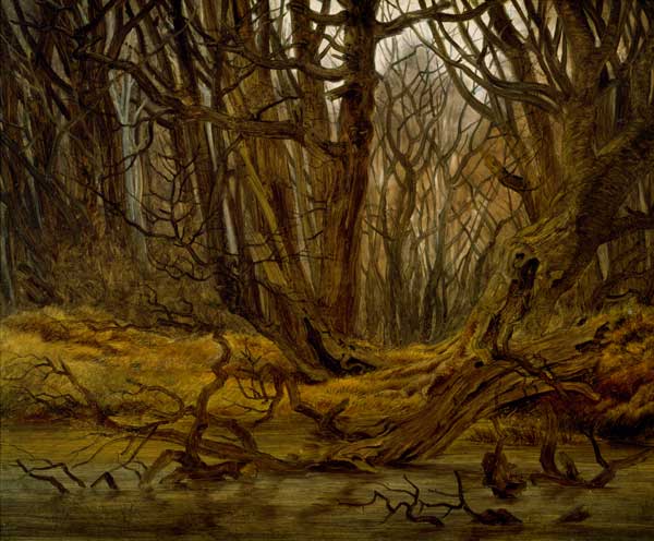 Wald im Spaetherbst von Caspar David Friedrich