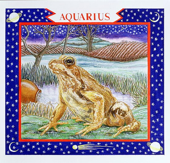 Aquarius (w/c on paper)  von Catherine  Bradbury