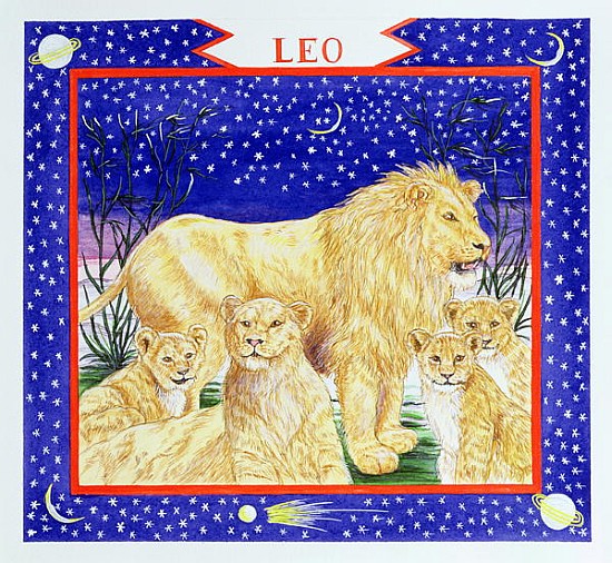 Leo (w/c on paper)  von Catherine  Bradbury