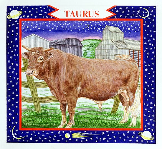 Taurus (w/c on paper)  von Catherine  Bradbury