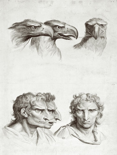 Similarities Between the Head of an Eagle and a Man, from 'Livre de portraiture pour ceux qui commen von Charles Le Brun