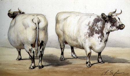 Study of two long-horned cows von Charles Oliver de Penne
