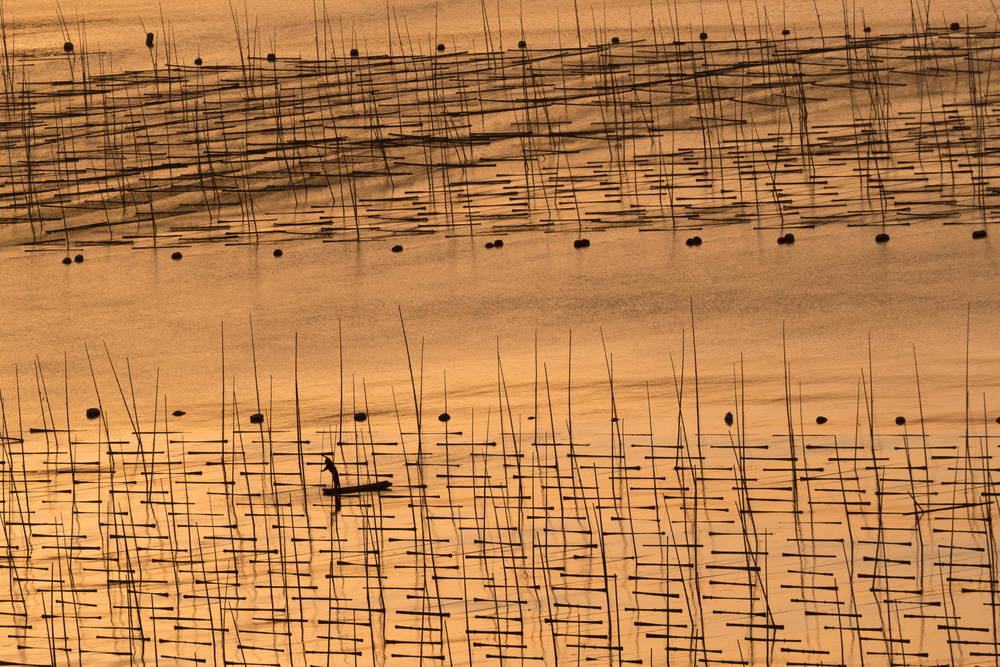Ein Aquakulturbauer und seine Farm bei Sonnenuntergang von Cheng Chang