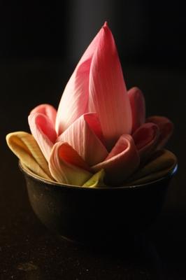 Lotusblüte zur Dekoration von Christian Beckers