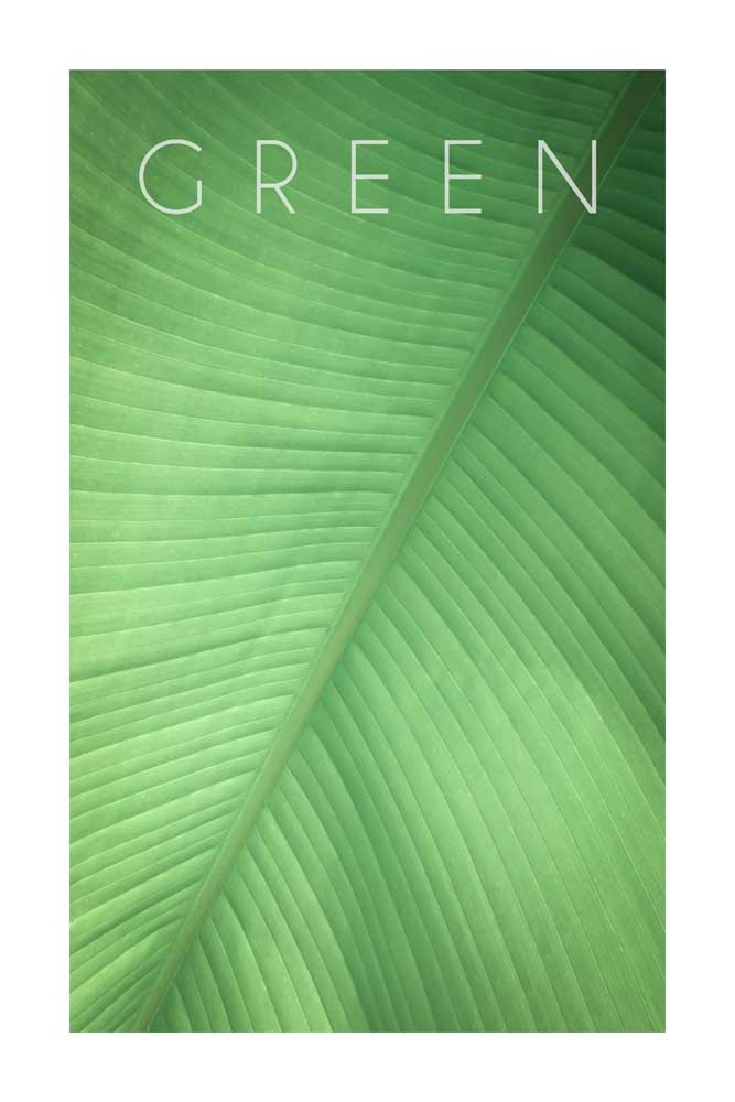 Green 01 von Christian Müringer