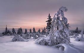 Lappland - winterwonderland