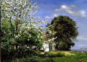 Spring Blossom 1908