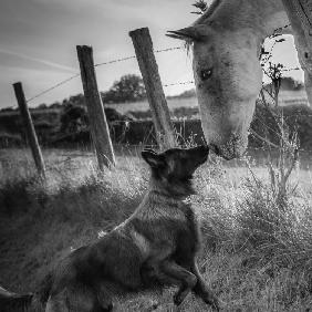 Friend's kiss