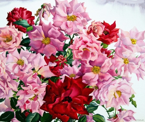 Red and Pink Roses von Christopher  Ryland