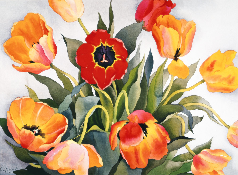 Orange and Red Tulips (w/c)  von Christopher  Ryland