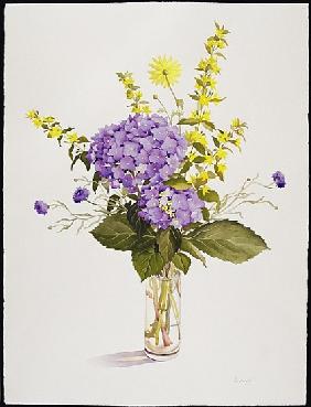 Blue Hydrangea with Yellow Loosestrife (w/c) 