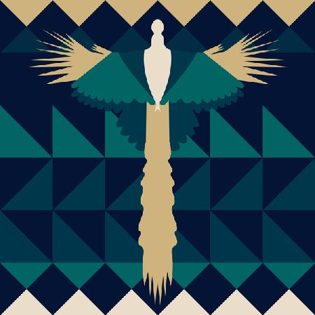 Aztec Peacock 2017