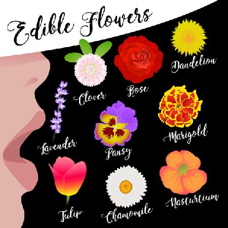 Edible Flowers 2017