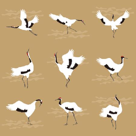 Oriental Cranes 2017