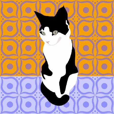 Cat on Morrocan Tiles 2017