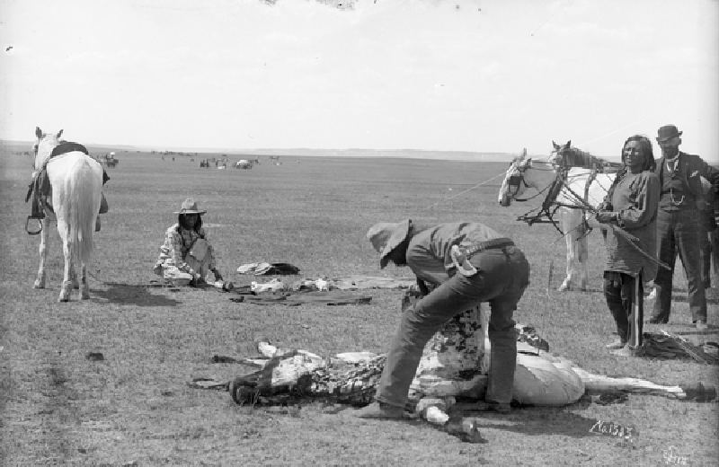 Indianer töten Rindfleisch von Clarence Grant Morledge