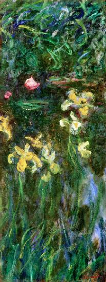 Iris jaunes. 1914/1917