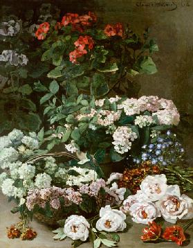 Spring Flowers 1864