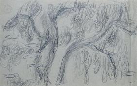 Reflections of Willows, c.1918 (black crayon on blue-gray paper) 18th