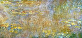 Waterlilies after 1916