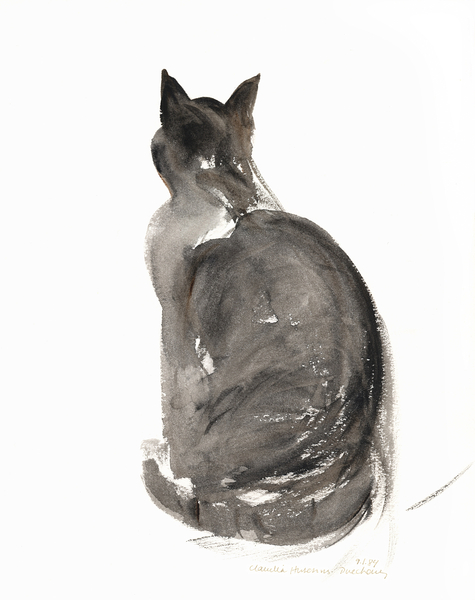 Cat von Claudia Hutchins-Puechavy