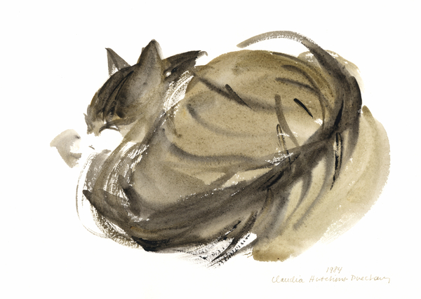 Sleeping cat von Claudia Hutchins-Puechavy