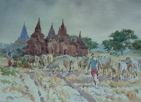928 Bagan, homewards herding 2013