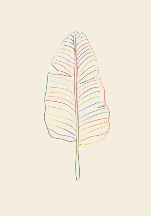Banana Rainbow Leaf von Graphic Collection