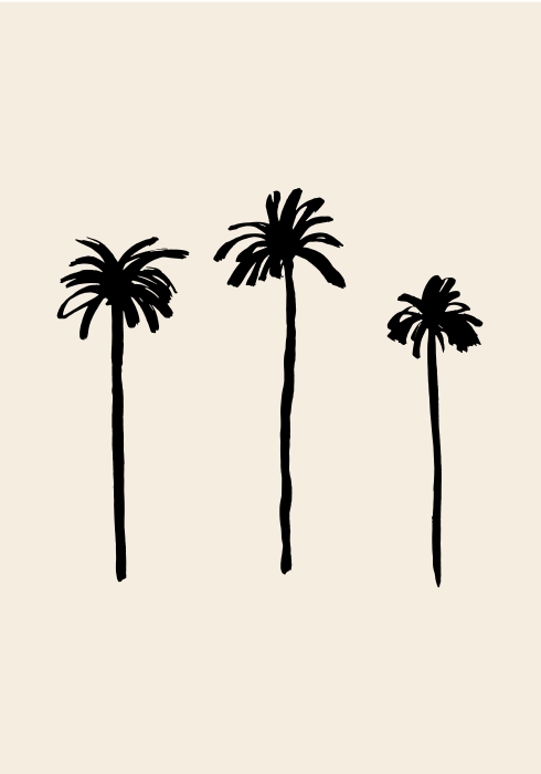Palm Trees von Graphic Collection