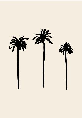 Palm Trees 2020