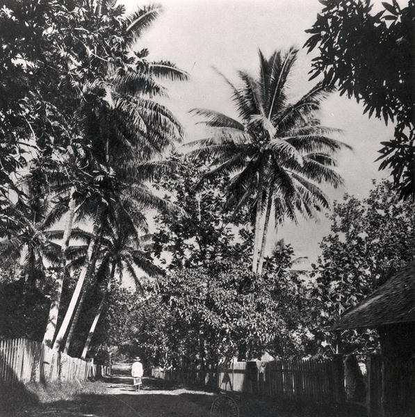 A Street in Papeete, from ''Tahiti'', published in London, 1882 (b/w photo)  von Colonel Stuart-Wortley
