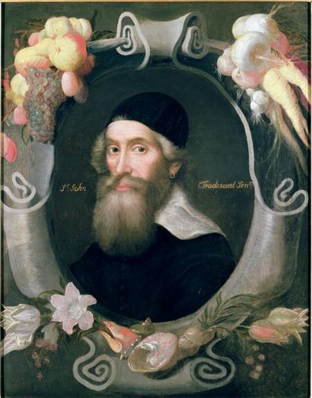 John Tradescant the Elder (1570-c.1638) von Cornelius de Neve