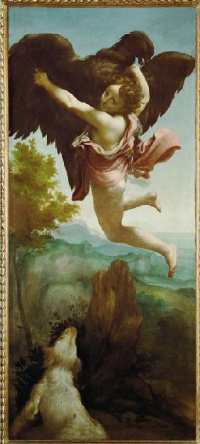 Die Entführung des Ganymed 1530