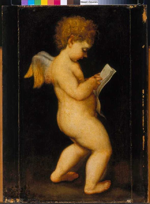 Lesende Putte von Correggio (eigentl. Antonio Allegri)