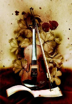 Violon 2012