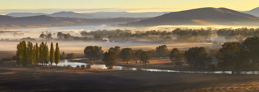 Murray River Dawn von Craig Gurnett