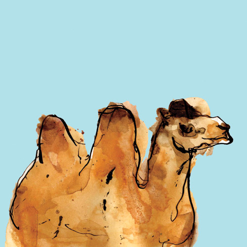 Horizontal Camel von Louise Cunningham