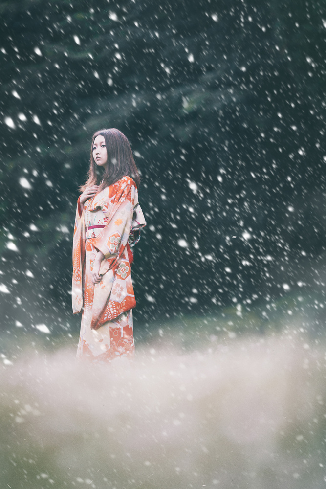 Prinzessin im Schnee von Daisuke Kiyota