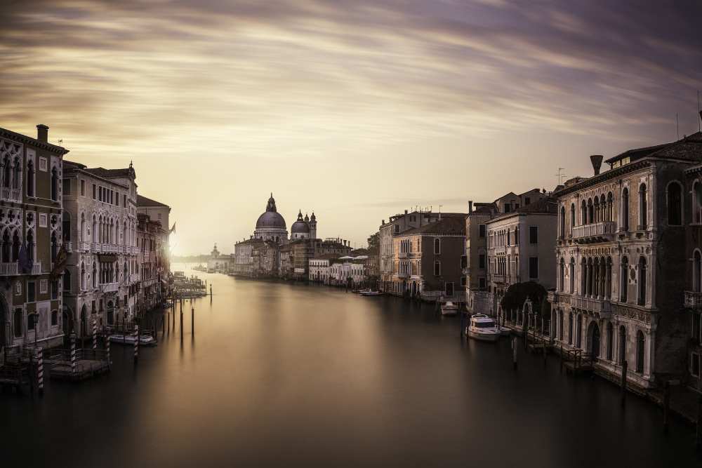 Venice von Dan Muntean
