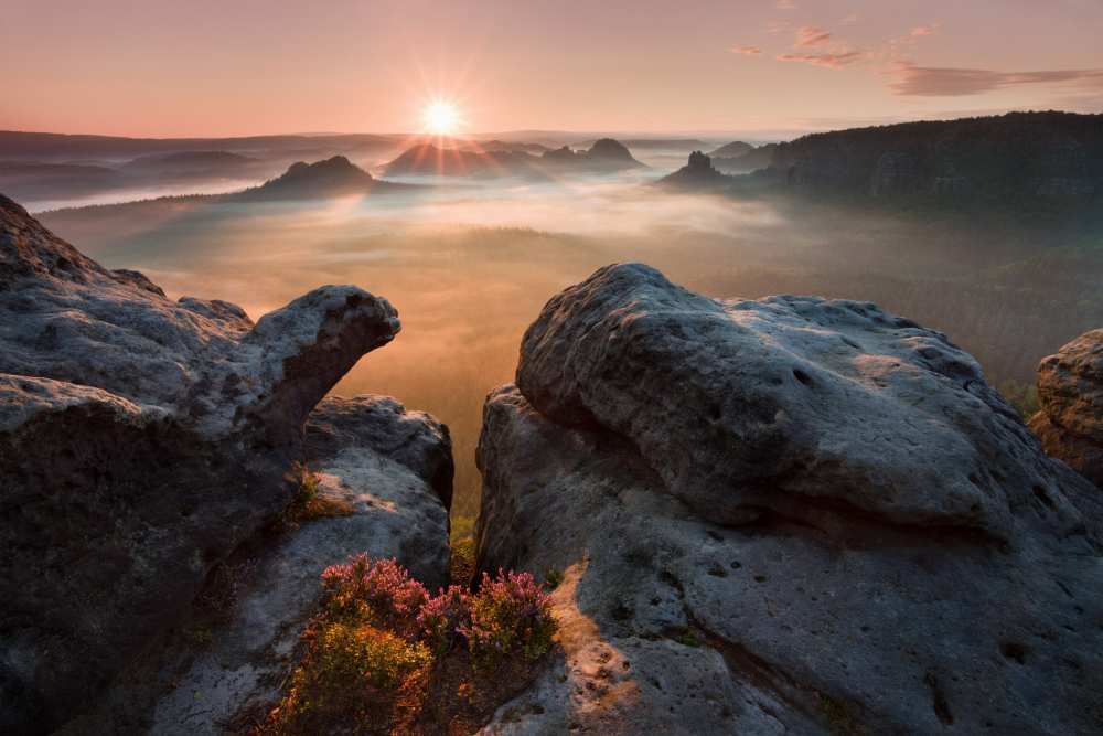 Sunrise on the rocks von Daniel Rericha