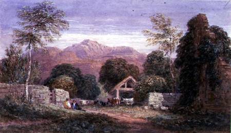 View of Cader Idris von David Cox