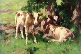 Three Calves in the Shade of a Tree 15th