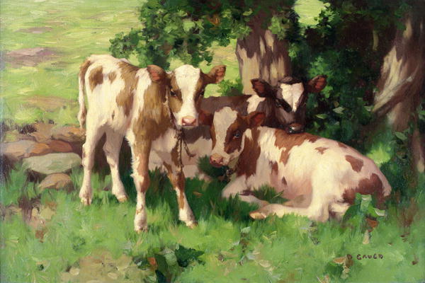 Three Calves in the Shade of a Tree von David Gauld