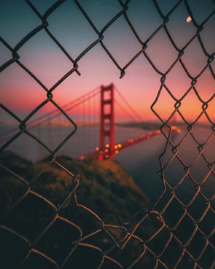 Golden Gate im Käfig